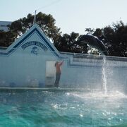 しながわ区民公園の中