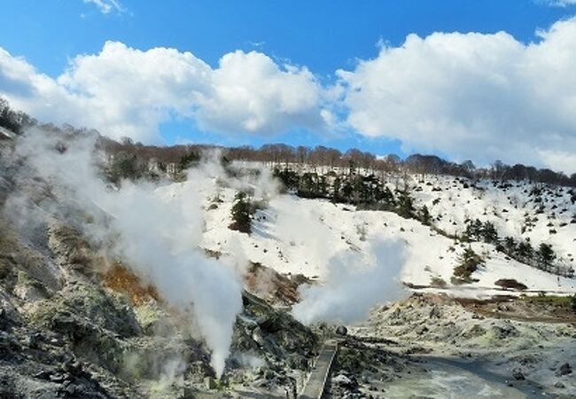 地球の鼓動が感じられます