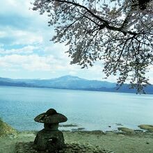 桜と駒ヶ岳