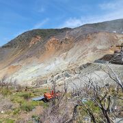 海外からの観光客が沢山