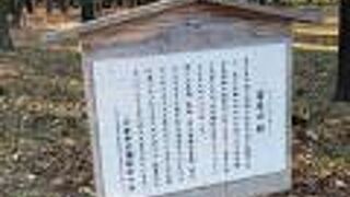 武蔵野の自然残る公園