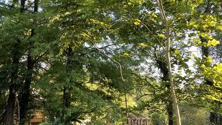 台北市立動物園