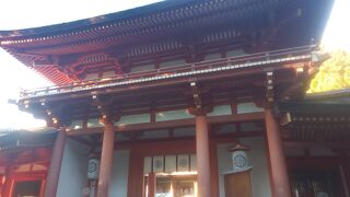 鹿も混じる神聖な場所