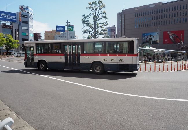 市内ではよく見かける