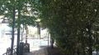 電車が通らない踏切