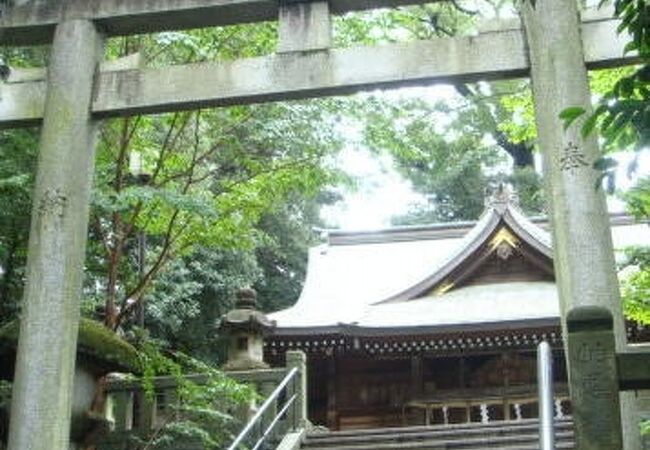 湯河原町の名物神社。