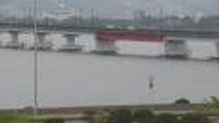 歩いて渡れます