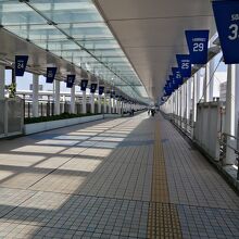 これがドームから矢田駅へ連絡する屋根付き歩道です。