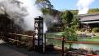 「白池地獄」という名前は、温泉の水が青白いからなのだそうです。