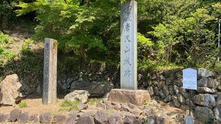 唐澤山神社