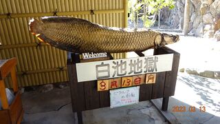 別府の地獄めぐりは楽しかったです。