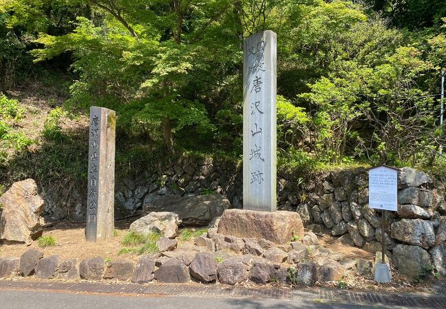 唐澤山神社