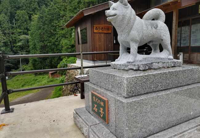 柴犬の祖 石号記念館