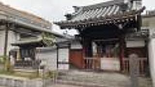 枝垂れ桜と蘇鉄