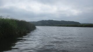 別寒辺牛湿原