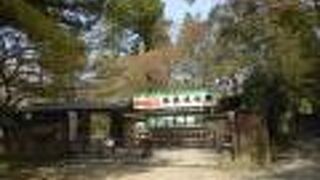 春日大社の神域にある神様の御庭