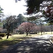 別府駅の西側にある広々とした公園です。