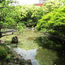 日本庭園（彼我庭園）