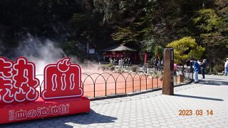 血の池地獄という名前の通り、真っ赤な温泉でした