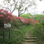 両崖山登山の途中織姫公園を通りました