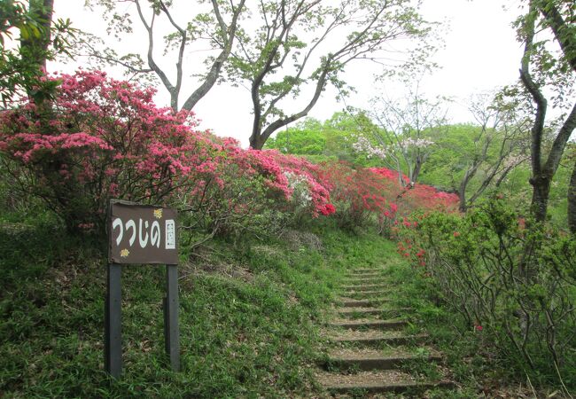 両崖山登山の途中織姫公園を通りました