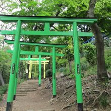 織姫神社七色の鳥居