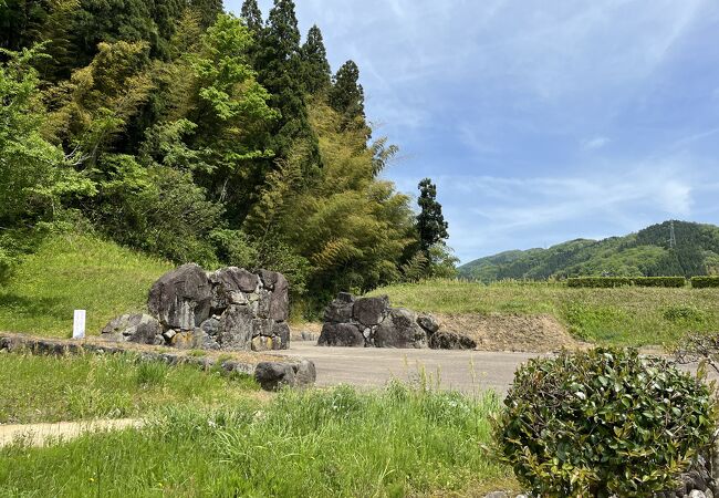 防御力の高さが感じられました