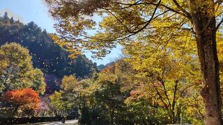 奥多摩町役場山のふるさと村キャンプ場