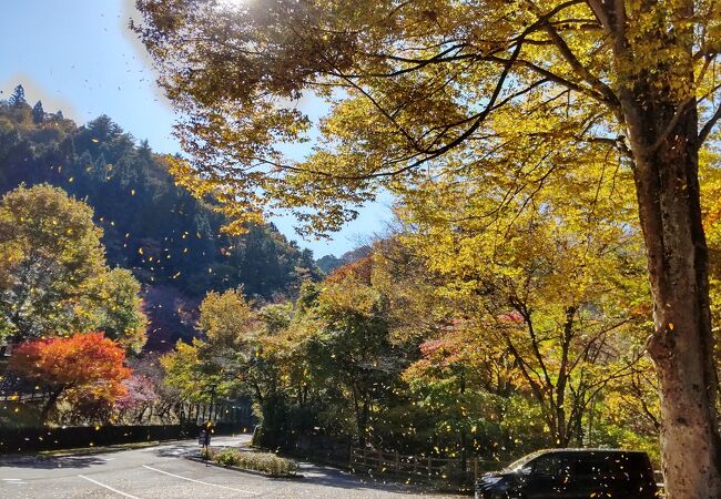 奥多摩町役場山のふるさと村キャンプ場