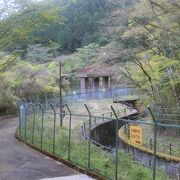 芦ノ湖のハイキングの途中で寄りました。