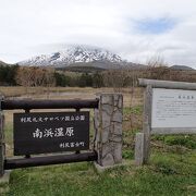 利尻島最大の湿原