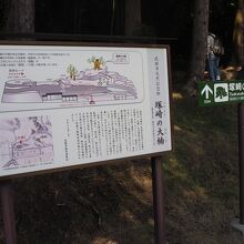 塚崎の大楠