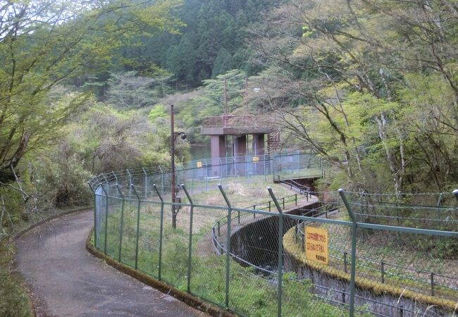 芦ノ湖のハイキングの途中で寄りました。