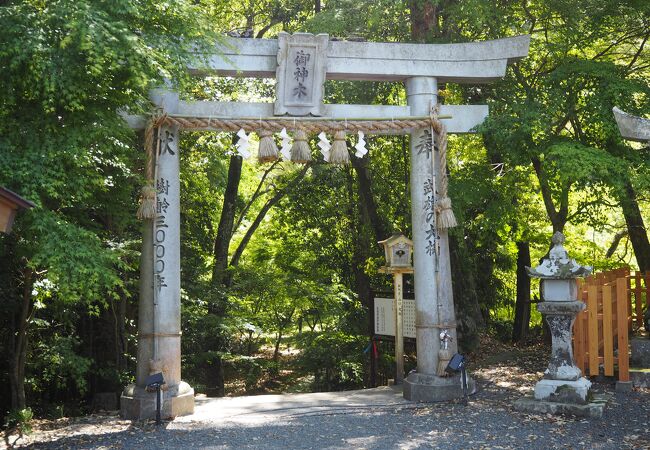 武雄神社の肥前鳥居