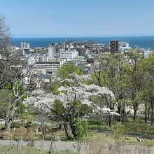 小樽公園