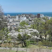 小樽公園からの眺望
