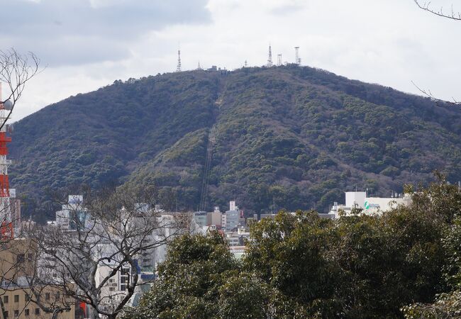 徳島中央公園の中心