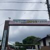 例年より早く見頃を迎え藤色の藤は間に合わず、遅咲きの白の藤は綺麗でした