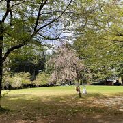 錦町公園