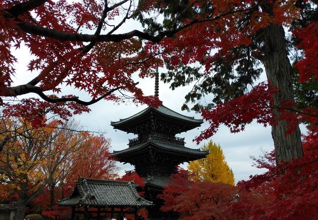 京都は紅葉の名所があり過ぎですね