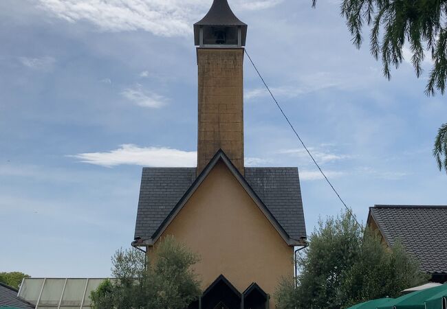 ネモフィラを見に行きました