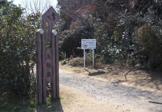 葛西臨海公園 鳥類園