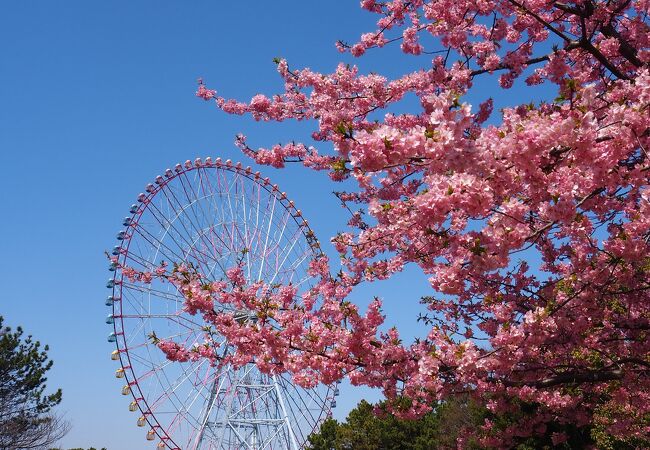 ダイヤと花の大観覧車