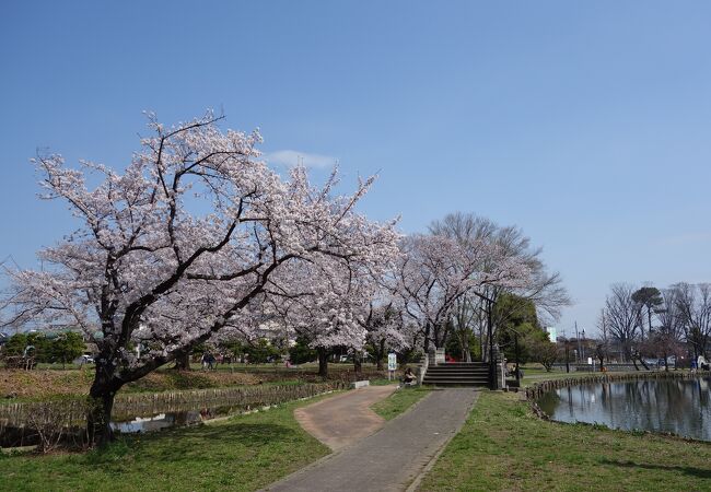 大きな池のある憩いの広場