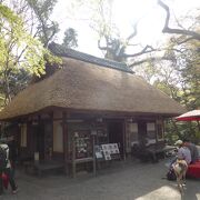 水谷川の畔の茅葺屋根の茶屋