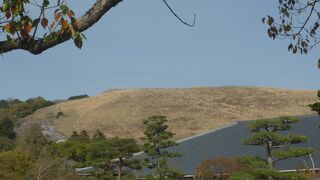 全山芝生で覆われた山