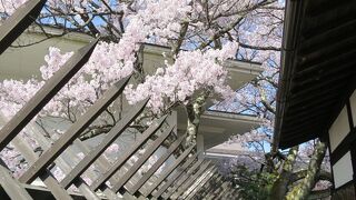 史実と創作との違い