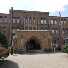 北海道大学総合博物館