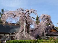 慈雲寺