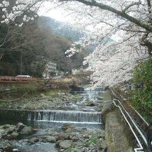 須雲川